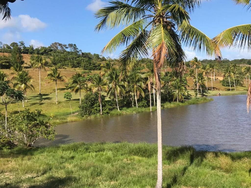 Oka 23 Milagres Villa São Miguel dos Milagres Eksteriør bilde